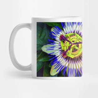 Passion Flower Summer Flowering Plant Mug